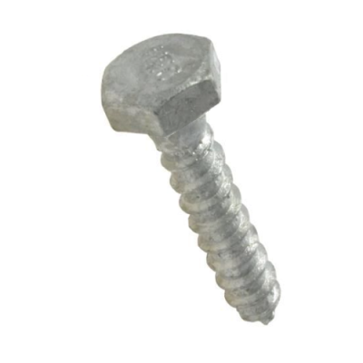 Coach Bolt Screw